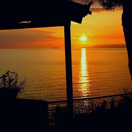 Sea And Sun Apartments 303 Ιδιωτικό Διαμέρισμα Kardhamili Exterior foto